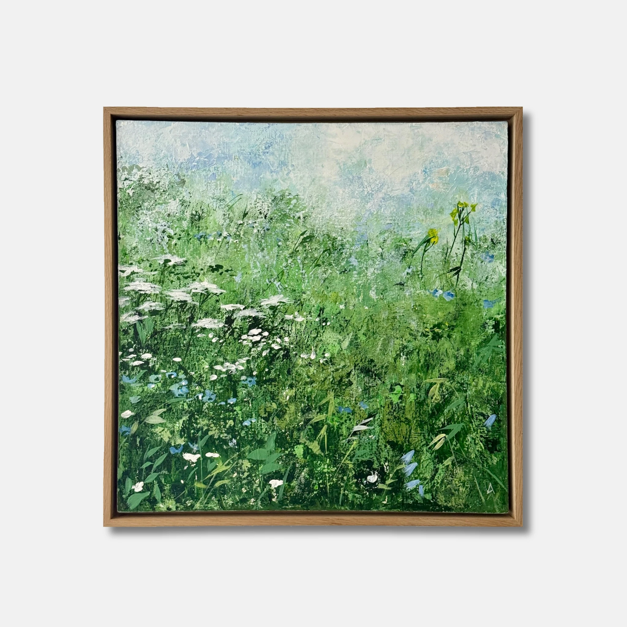 Field - alternate view